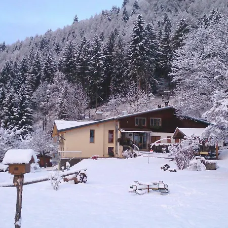 Lo Scoiattolo Nebbiu