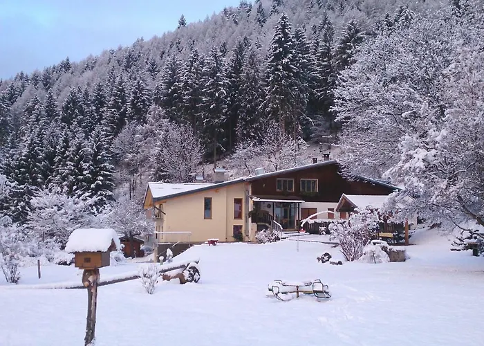 Lo Scoiattolo Nebbiu